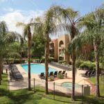 Outdoor pool surrounded by palm trees at the Embassy Suites Phoenix–Tempe.