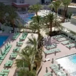 Aerial view of multiple resort pools with sun loungers surrounded by palm trees at Park MGM.